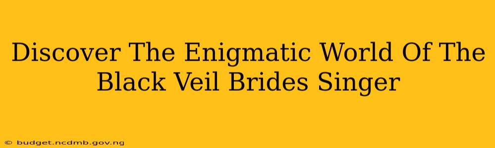 Discover The Enigmatic World Of The Black Veil Brides Singer