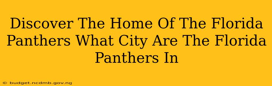 Discover The Home Of The Florida Panthers What City Are The Florida Panthers In