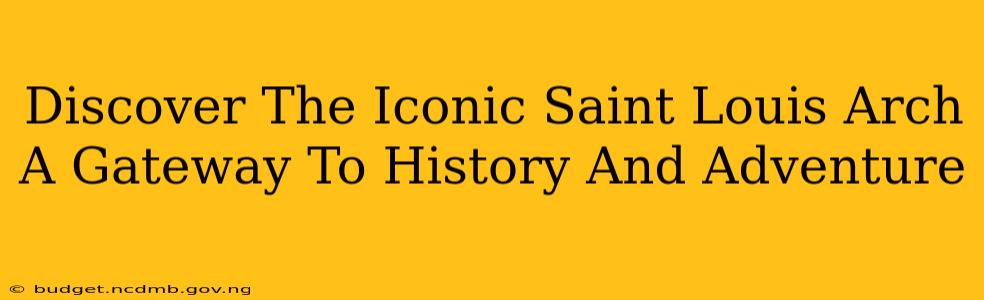Discover The Iconic Saint Louis Arch A Gateway To History And Adventure