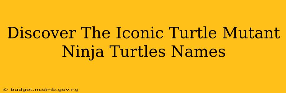 Discover The Iconic Turtle Mutant Ninja Turtles Names
