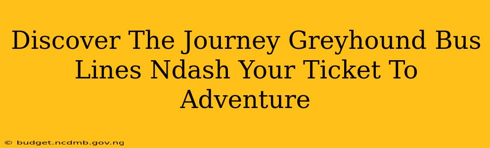 Discover The Journey Greyhound Bus Lines Ndash Your Ticket To Adventure