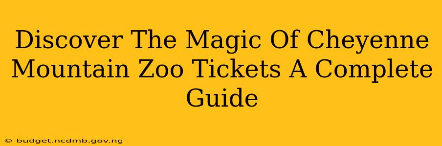 Discover The Magic Of Cheyenne Mountain Zoo Tickets A Complete Guide