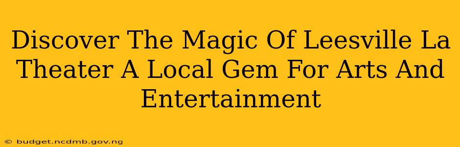 Discover The Magic Of Leesville La Theater A Local Gem For Arts And Entertainment