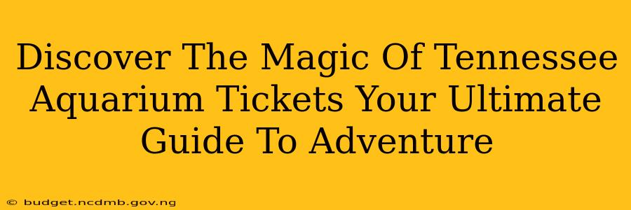 Discover The Magic Of Tennessee Aquarium Tickets Your Ultimate Guide To Adventure