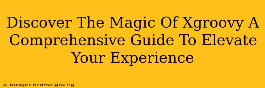 Discover The Magic Of Xgroovy A Comprehensive Guide To Elevate Your Experience