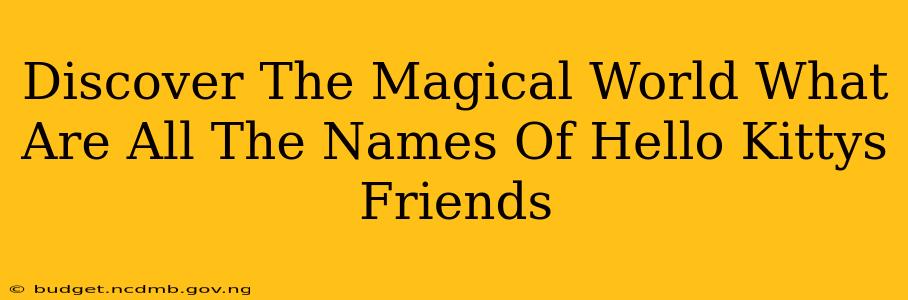 Discover The Magical World What Are All The Names Of Hello Kittys Friends
