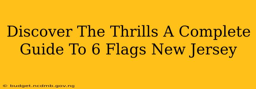 Discover The Thrills A Complete Guide To 6 Flags New Jersey