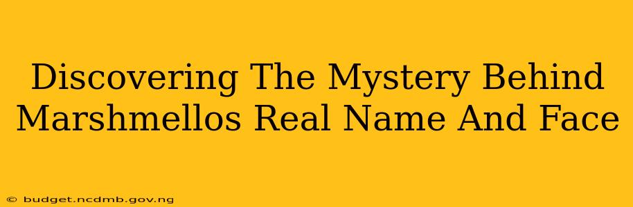 Discovering The Mystery Behind Marshmellos Real Name And Face