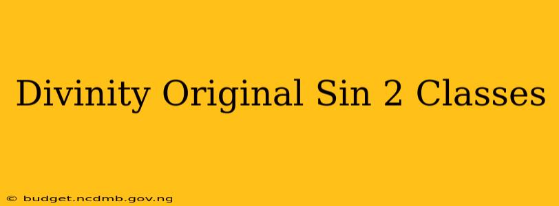 Divinity Original Sin 2 Classes