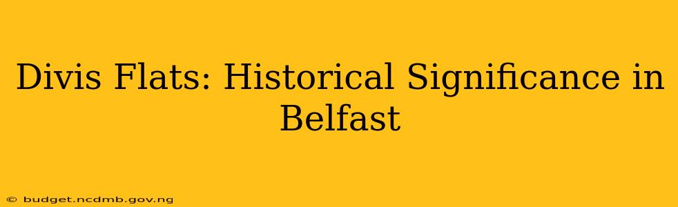 Divis Flats: Historical Significance in Belfast