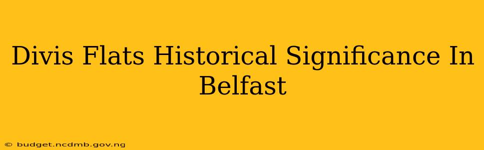 Divis Flats Historical Significance In Belfast