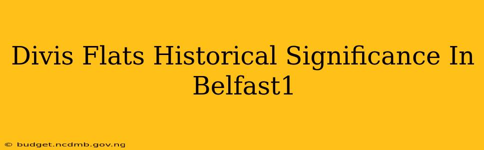 Divis Flats Historical Significance In Belfast1