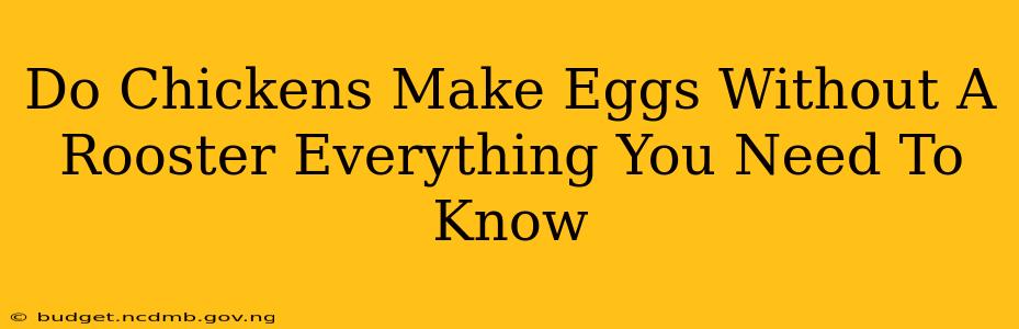Do Chickens Make Eggs Without A Rooster Everything You Need To Know