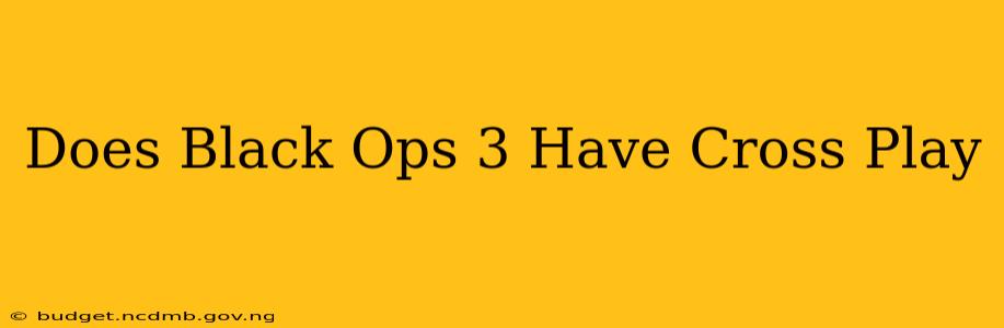 Does Black Ops 3 Have Cross Play