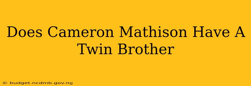 Does Cameron Mathison Have A Twin Brother