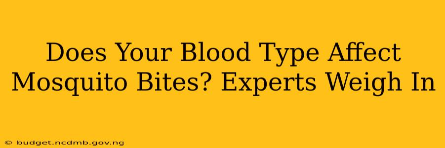 Does Your Blood Type Affect Mosquito Bites? Experts Weigh In
