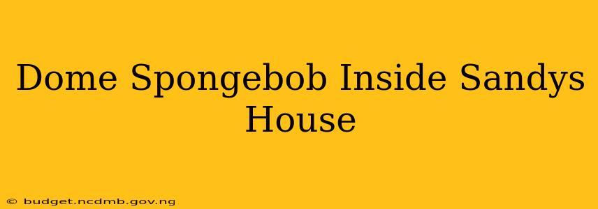 Dome Spongebob Inside Sandys House