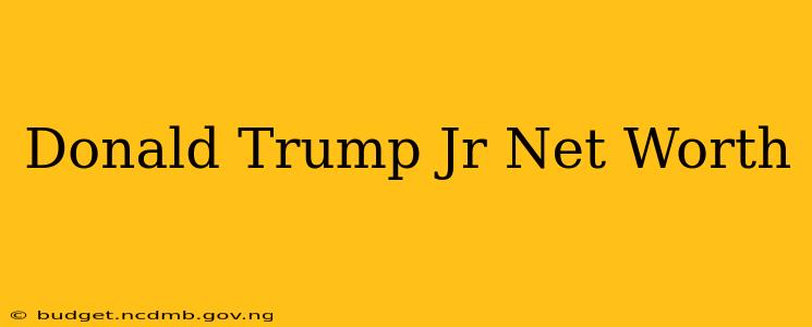 Donald Trump Jr Net Worth