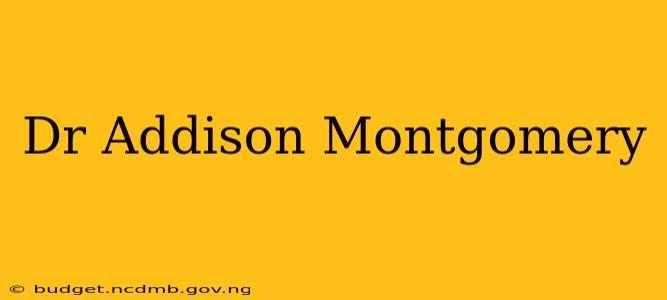 Dr Addison Montgomery
