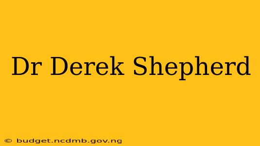 Dr Derek Shepherd