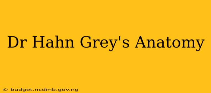 Dr Hahn Grey's Anatomy