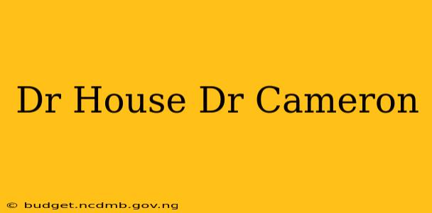 Dr House Dr Cameron