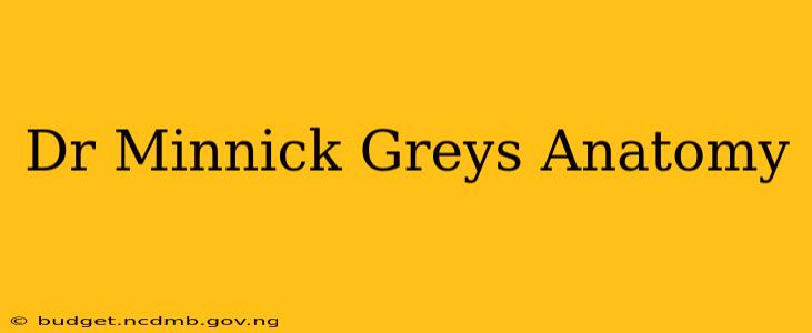 Dr Minnick Greys Anatomy