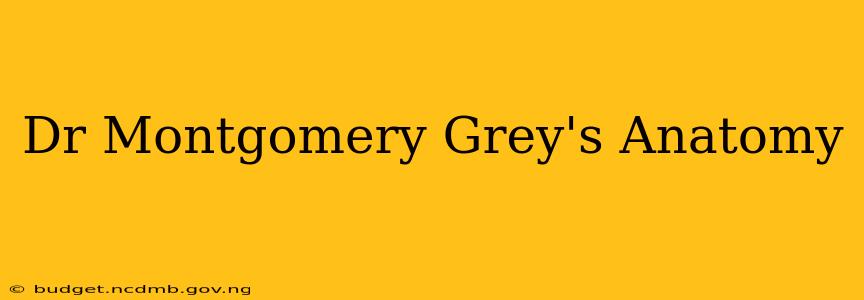 Dr Montgomery Grey's Anatomy