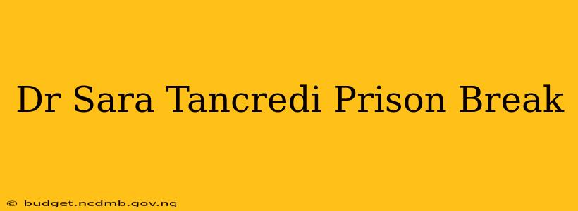 Dr Sara Tancredi Prison Break