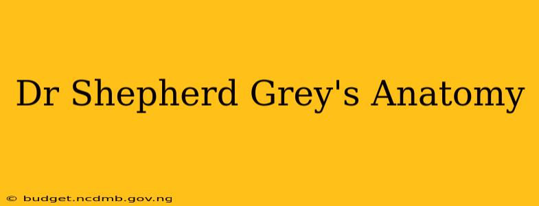 Dr Shepherd Grey's Anatomy