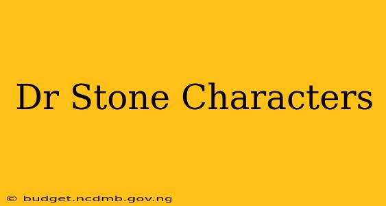 Dr Stone Characters