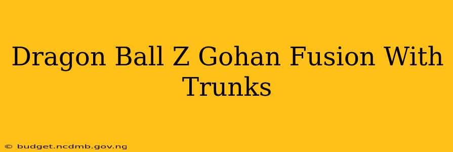 Dragon Ball Z Gohan Fusion With Trunks