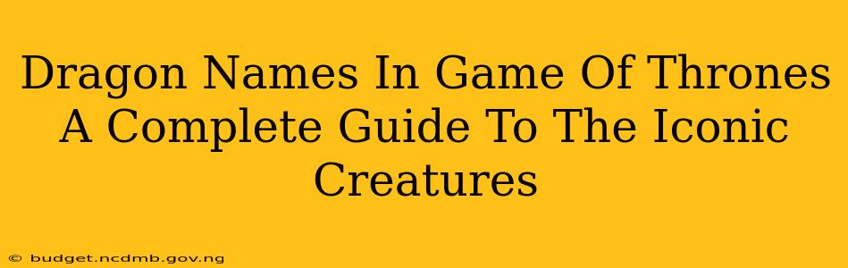Dragon Names In Game Of Thrones A Complete Guide To The Iconic Creatures