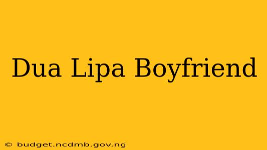 Dua Lipa Boyfriend