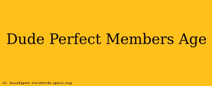 Dude Perfect Members Age