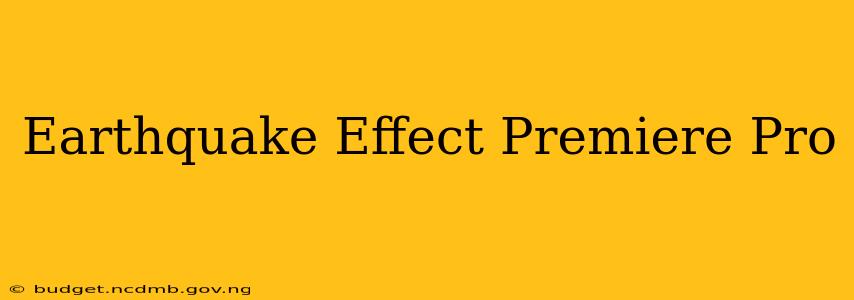 Earthquake Effect Premiere Pro