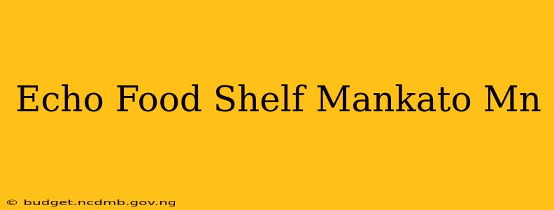 Echo Food Shelf Mankato Mn