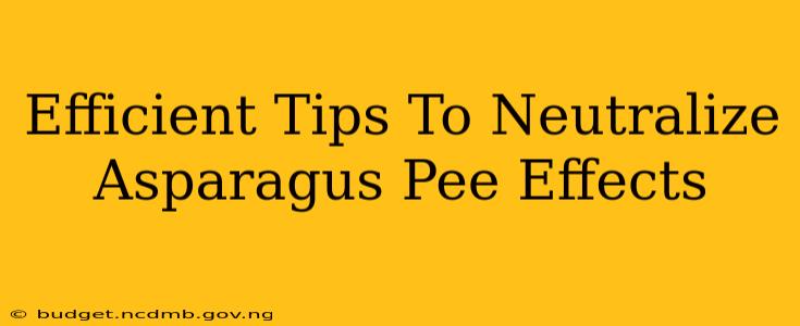 Efficient Tips To Neutralize Asparagus Pee Effects