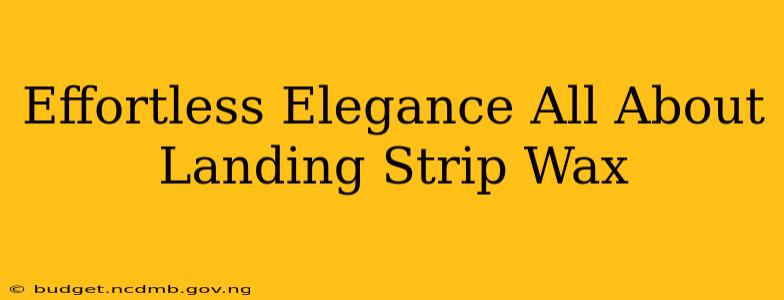 Effortless Elegance All About Landing Strip Wax