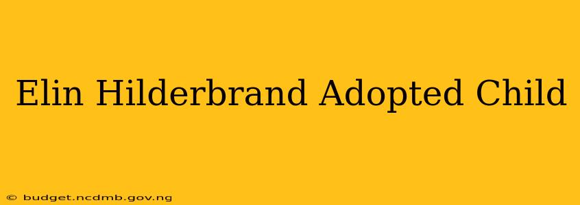 Elin Hilderbrand Adopted Child