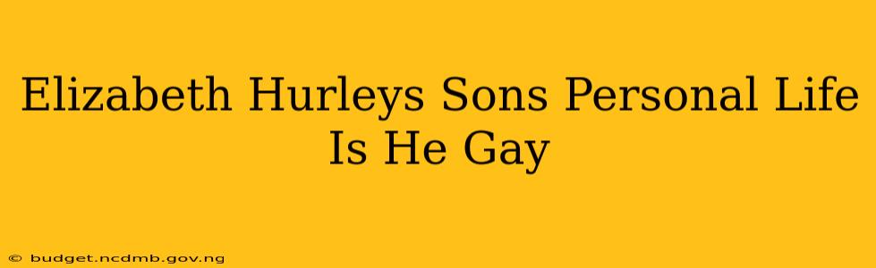 Elizabeth Hurleys Sons Personal Life Is He Gay