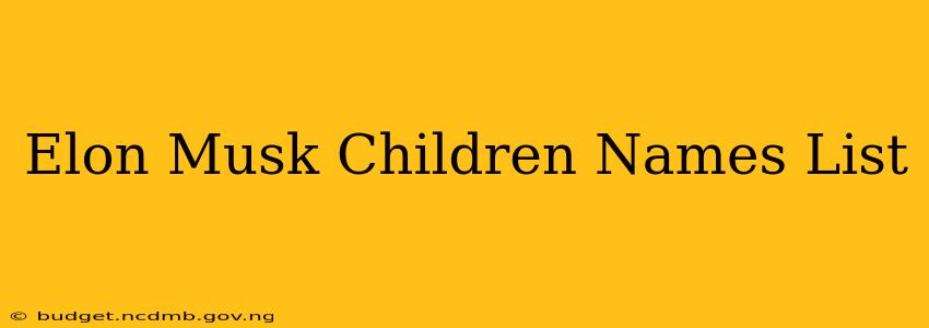 Elon Musk Children Names List