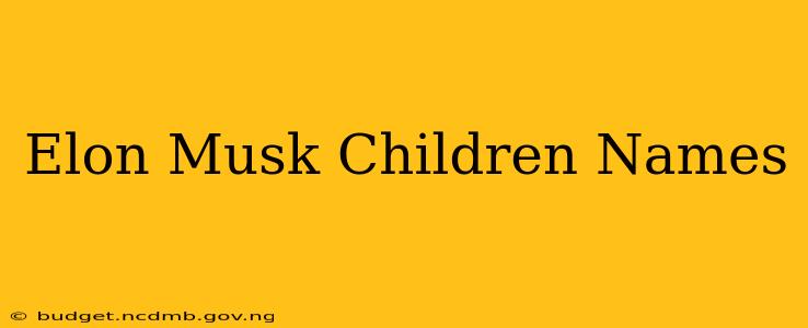 Elon Musk Children Names