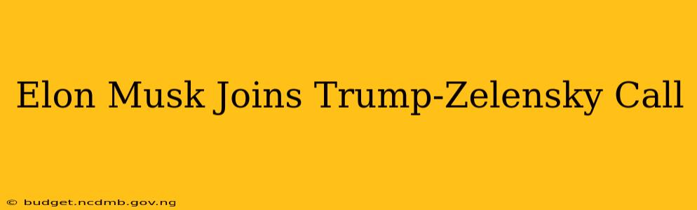 Elon Musk Joins Trump-Zelensky Call