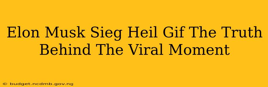Elon Musk Sieg Heil Gif The Truth Behind The Viral Moment