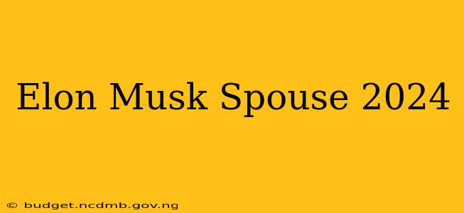 Elon Musk Spouse 2024