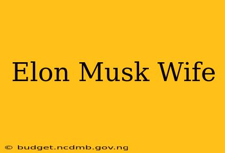 Elon Musk Wife