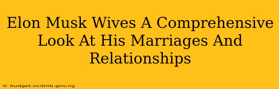Elon Musk Wives A Comprehensive Look At His Marriages And Relationships
