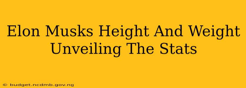 Elon Musks Height And Weight Unveiling The Stats