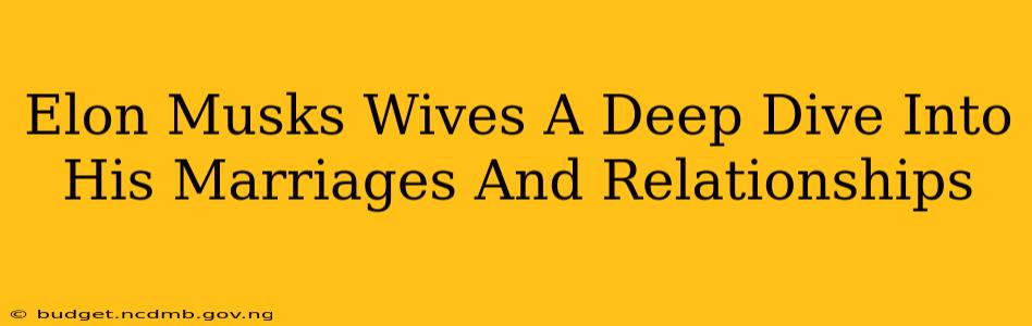 Elon Musks Wives A Deep Dive Into His Marriages And Relationships